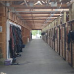 horse stalls in a riding arena