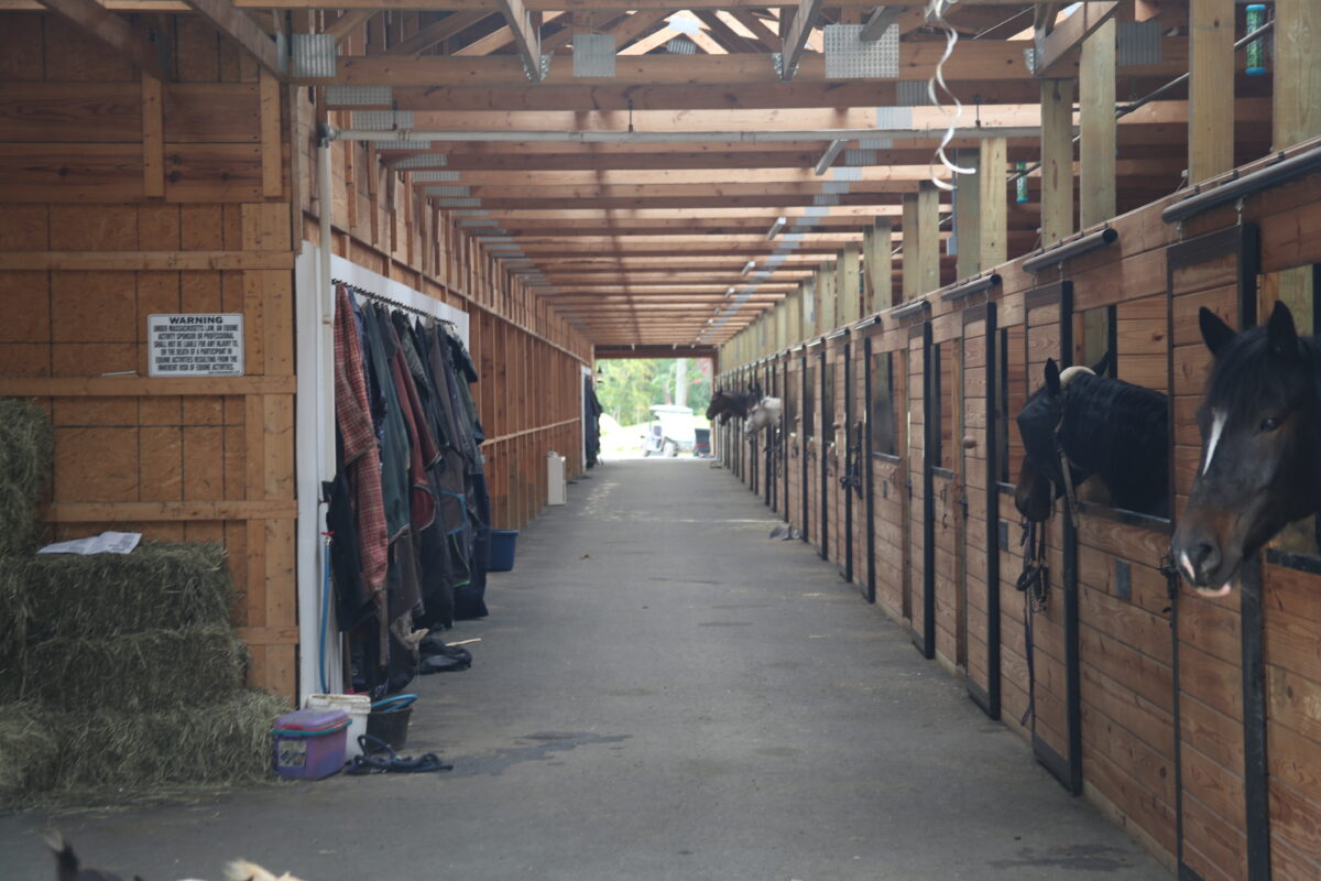 horse stalls in a riding arena
